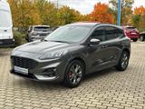 Ford Kuga ST-Line X Panorama Technologie Paket Winter - Ford Kuga Jahreswagen
