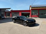 Ford Mustang V8 5,0 Liter US Version 50 Years - Ford Mustang: Us