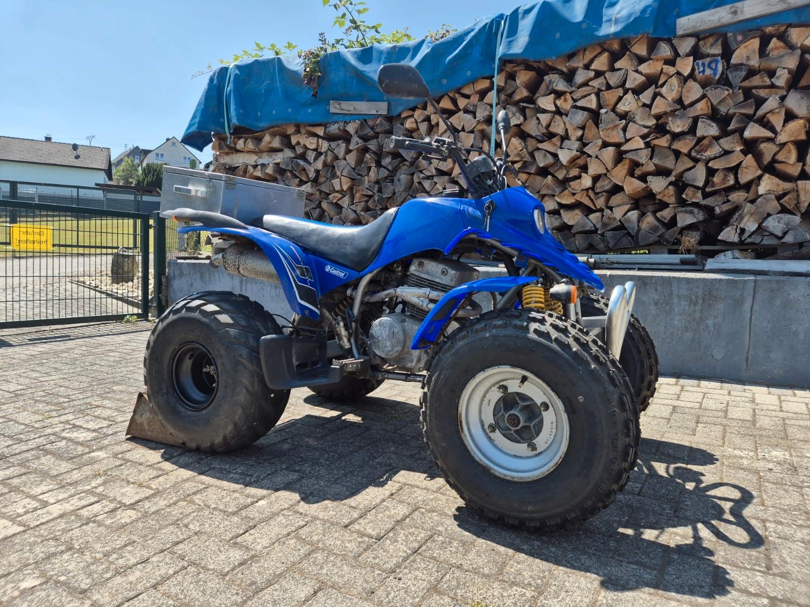 Andere  2006 — engine 250 cm³