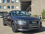 Audi A3 Cabriolet Ambition TOP ZUSTAND NEUE VERDECK - gebrauchte Audi A3 aus dem Jahr 2008