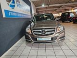 Mercedes-Benz GLK 250 4Matic PANO NAVI AHK SHZ TEMPOMAT - Mercedes-Benz: Geländewagen, Glk