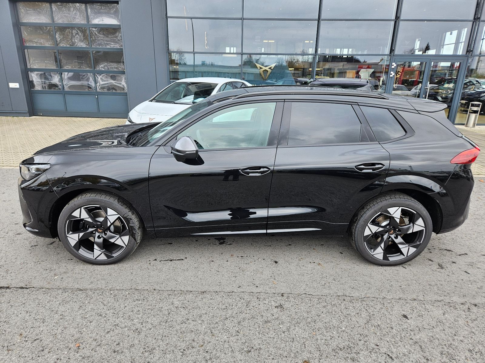 Cupra Terramar 2.0 TSI DSG 4Drive*Navi*LED*AHK*