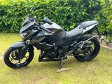 Kawasaki Z 300 - NAKED BIKE VON 251 BIS 500 CCM