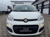 Fiat Panda MY25 1.0 GSE *5-Sitzer*GRA* PDC*Bluet.* - Fiat Panda: Sitzer