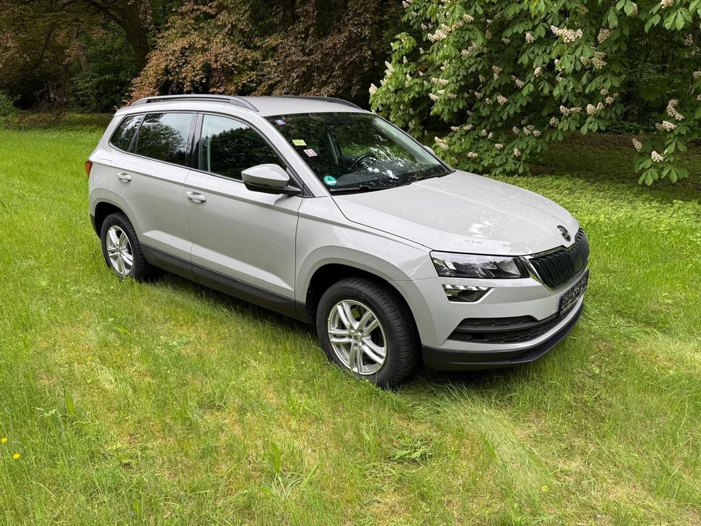 Image of Skoda Karoq