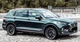 Seat Tarraco 2.0 TDI 110kW Xcellence 7sitzer, Panoram