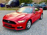 Ford Mustang 3.7 Cabrio Automatik,Xenon,R-Kamera - Ford: Cabrio, Ka