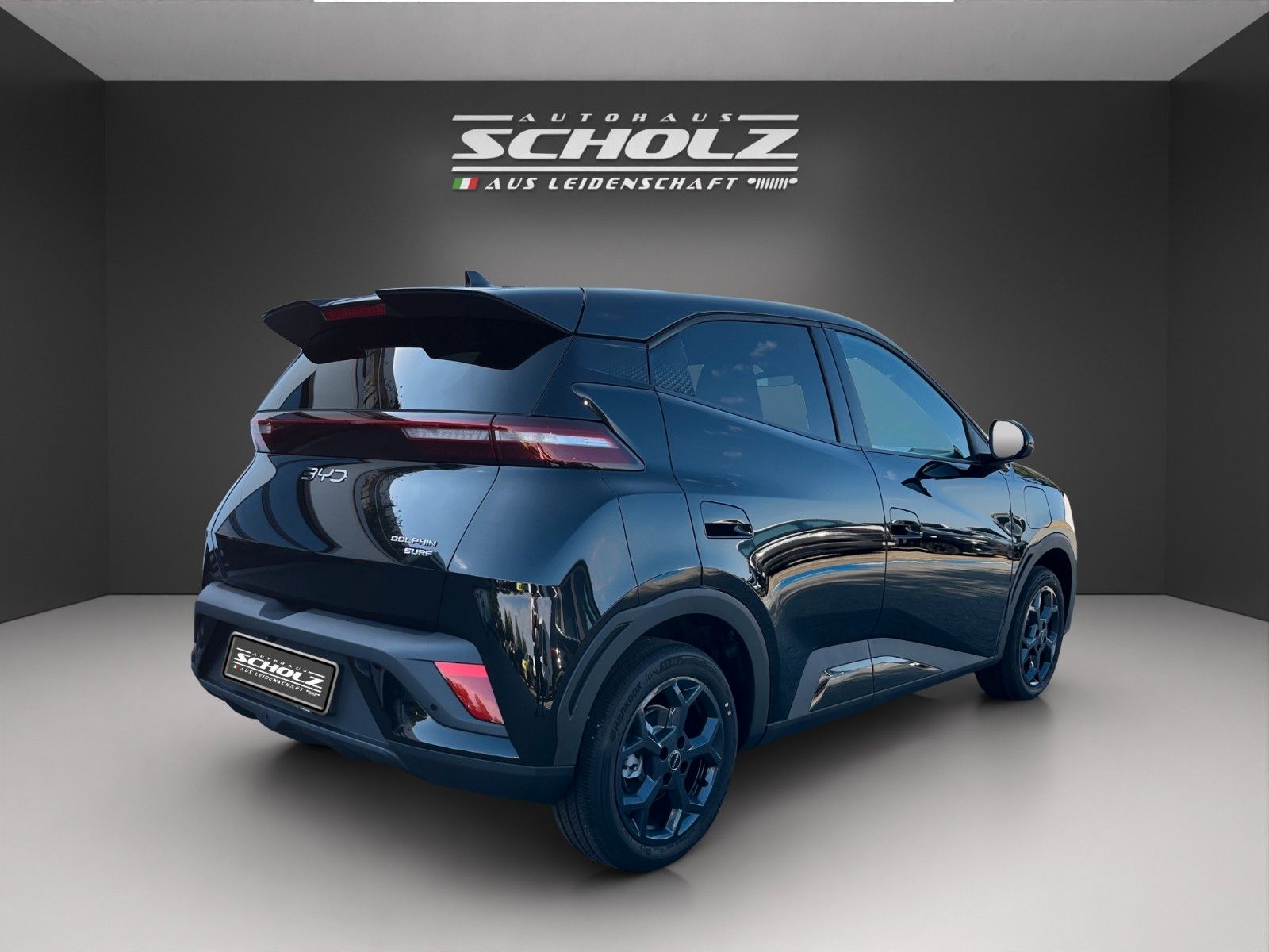 BYD DOLPHIN SURF