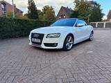 Audi A5 2.0 TDI Cabriolet -S LINE  (170 PS) - Audi A5