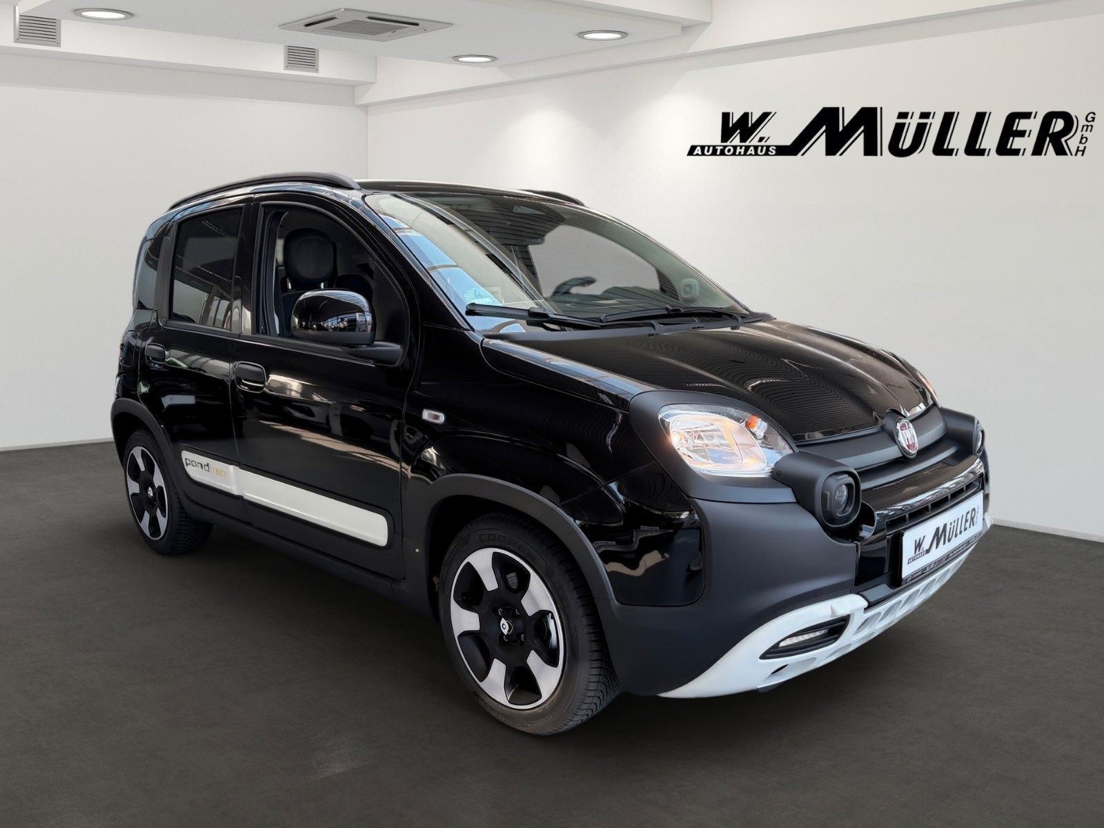 Fahrzeugabbildung Fiat Panda Pandina Cross *Ganzjahresreifen*