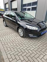 Ford Focus 1,5 TDCi 88kW Business Turnier Busines... - Ford Focus Business mit Diesel-Antrieb