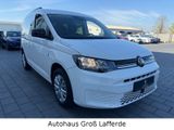 Volkswagen Caddy Life 1.5 TSi APP AHK SHZ PDC - Volkswagen Caddy aus 2024