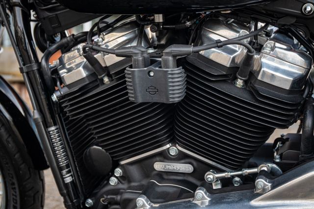 Fahrzeugabbildung Harley-Davidson SOFTAIL STANDARD FXST - JEKILL&HYDE - SPEICHEN