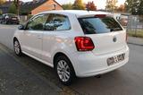 Volkswagen Polo V 1.6 TDI Highline DSG (Temp. -Service neu) - Volkswagen Polo aus 2010: Highline