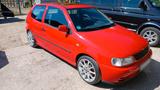 Volkswagen VW Polo 6n GTI - Volkswagen Polo: 6n GTI