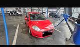 Fiat Zu verkaufen Gebrauchtwagen - Fiat Punto: Verkaufen