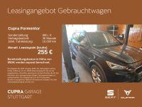 Cupra Formentor - Vorschau Bild 2