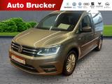 Volkswagen Caddy PKW Highline 2.0 TDI+Alufelgen+Navi+Standh - mit Diesel-Antrieb: Beige, Alcantara, Beheizbare Frontscheibe