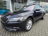 Skoda Superb Combi Style*1H*Navi*R-Kam*Bi-Xen*DAB - Skoda Superb Gebrauchtwagen in Hamburg
