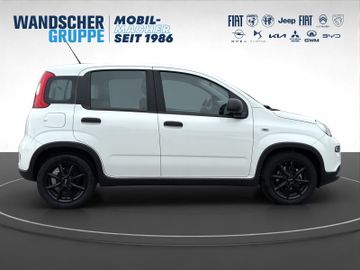 Fiat Panda 1.0 MHEV Basis KLIMA RADIO eFH ALU AWR