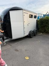 Böckmann Portax L SR, Neuwertig, MwSt. ausweisbar.  - Böckmann Tier-/Pferdetransport