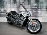 Harley-Davidson Harley Davidson V-Rod 1130 VRSCA - 2004 V ROD