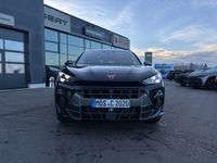 Cupra Terramar - Vorschau Bild 7