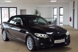 BMW 228i  Cabrio Sport L Navi*Appl/Android*PDC*Xenon