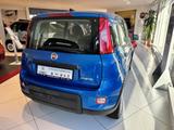 Fiat Panda Base / Klima, Radio, elektr. FH vorn, Blue - Fiat Panda in Chemnitz