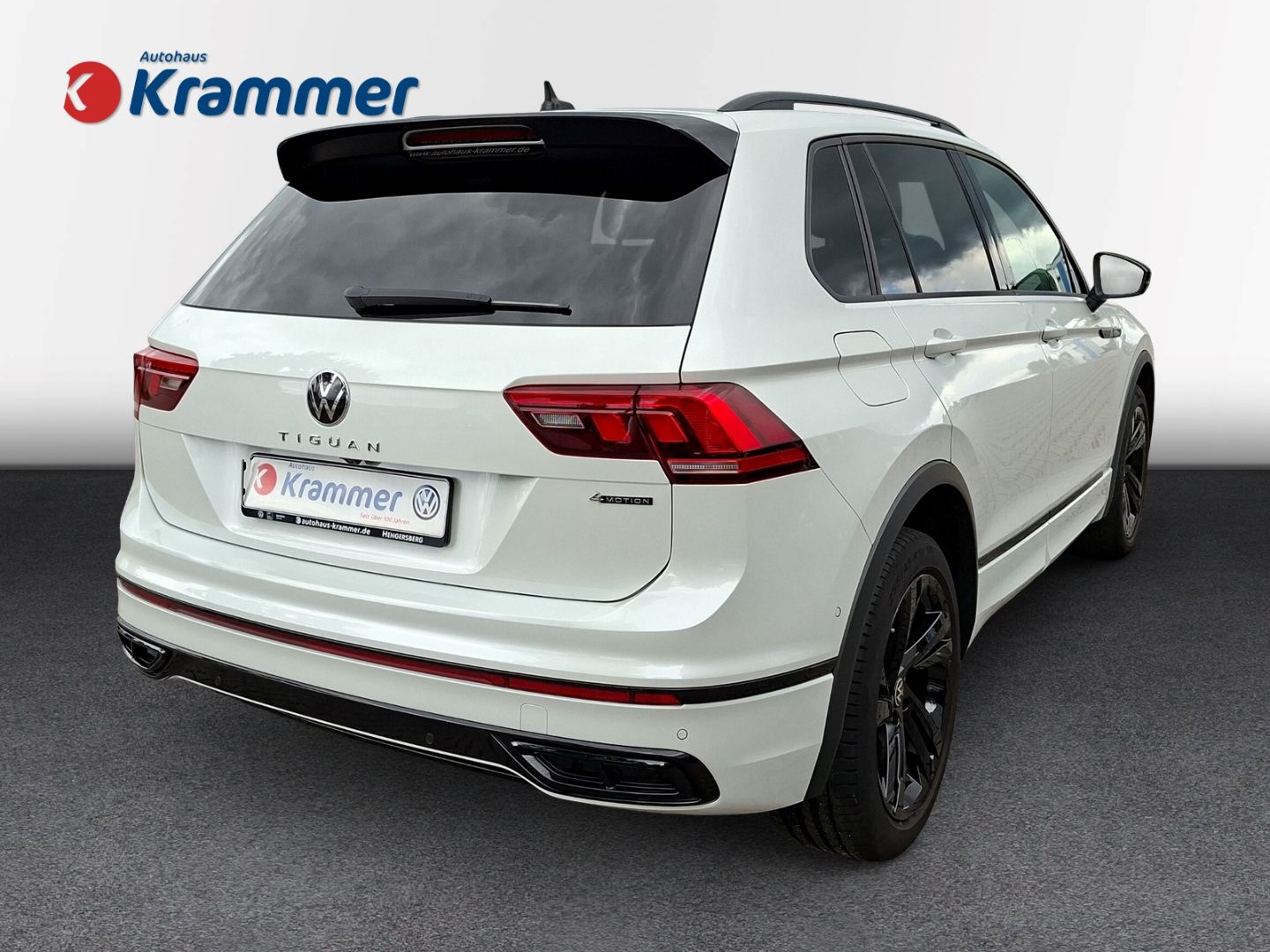 Tiguan 2.0 TSI DSG R-Line 4Motion *AHK*PANO*LEDE