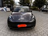 Tesla Model Y Long Range Dual Motor AWD Long Range - Tesla Model Y: Grau