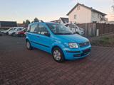 Fiat Panda 1.2 8V Dynamic - Fiat Panda aus 2005: Allradantrieb