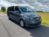 Mercedes-Benz V 220 d Aut. AVANTGARDE EDITION lang AVANTGA... - Mercedes-Benz V 220 mit Diesel-Antrieb