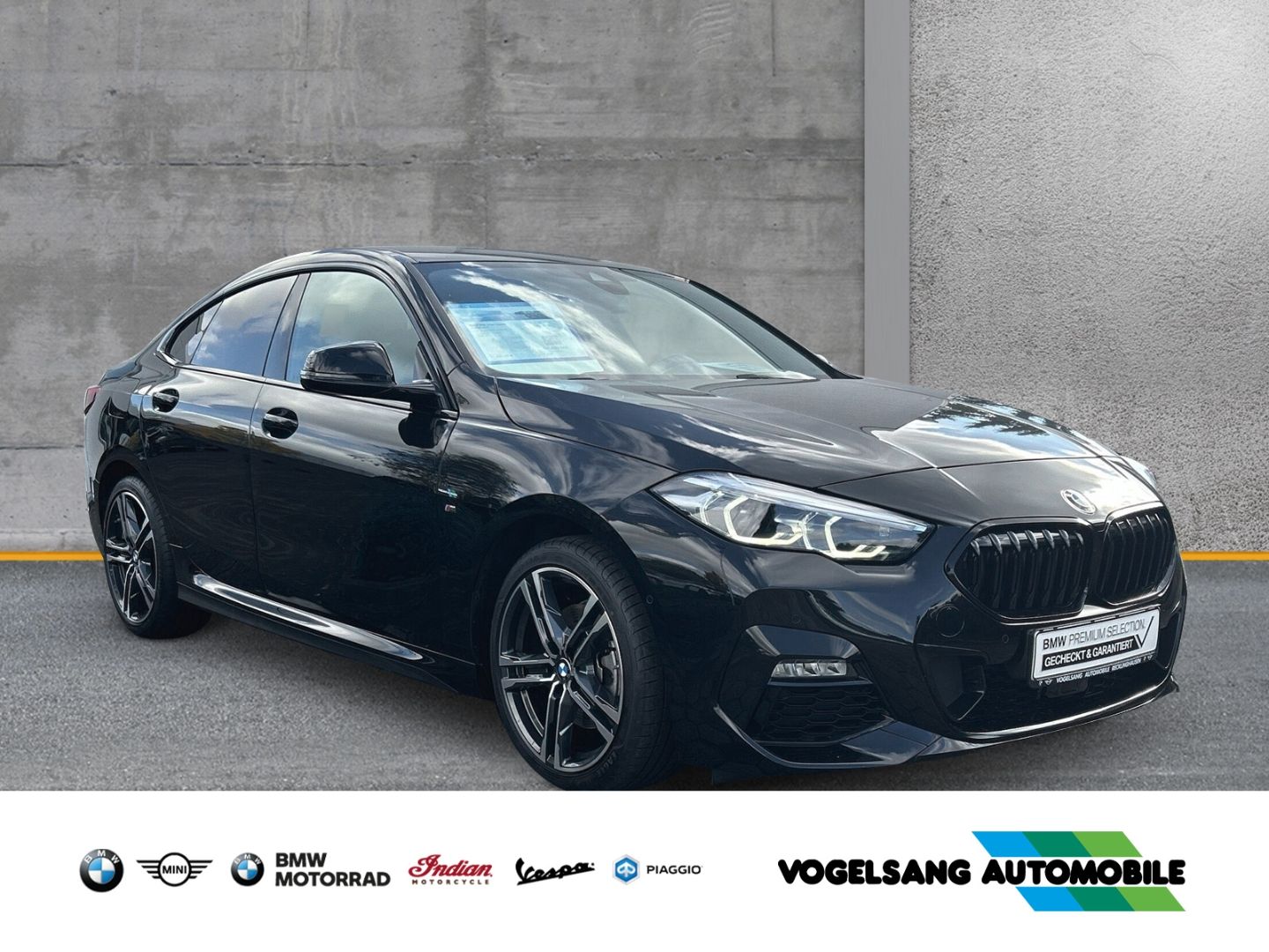 Fahrzeugabbildung BMW 218 Gran Coupe i M Sport Park-Assistent