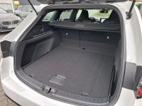 Suzuki Swace - Vorschau Bild 8