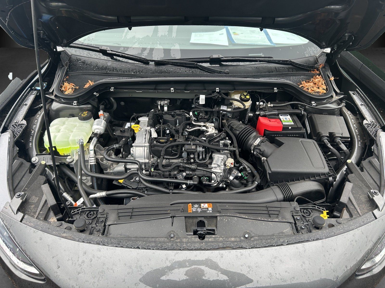 Fahrzeugabbildung Ford Focus Turnier  1,0 Ecoboost Titanium Edition