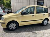 Fiat Panda 1.2 8V MyLive - Fiat Panda in Essen