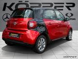 Smart ForFour 66 kW turbo Sportpaket Glasdach PTS - Smart ForFour in Gelsenkirchen