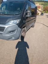 Fiat Ducato - Fiat Ducato: 8 Sitzer