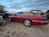 Jaguar XJS 12 Cyl. Convertible. Calif. original cond. - Jaguar Oldtimer: Cabrio