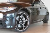 Alfa Romeo Giulia Veloce Q4 2.0 280PS 8AT - Alfa Romeo Gebrauchtwagen von 2022