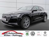 Audi e-tron 55 quattro advanced PANORAMA LUFTFEDERUNG - Audi e-tron aus 2023