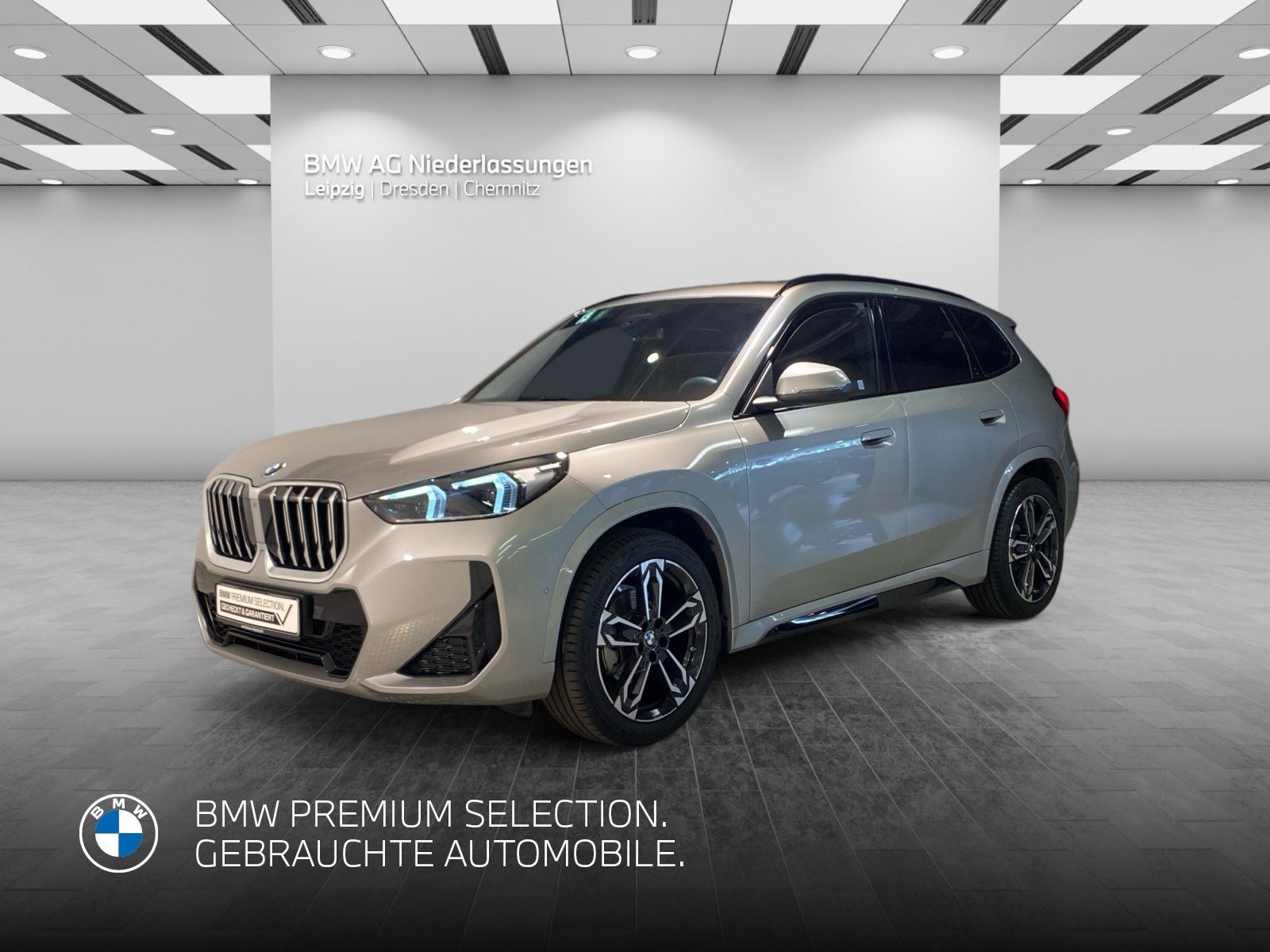 BMW X1 sDrive20d M Sport AHK Driv.Assist+ Harman/K