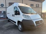 Fiat Ducato Maxi Tetto Alto - Fiat Ducato aus 2011: Van
