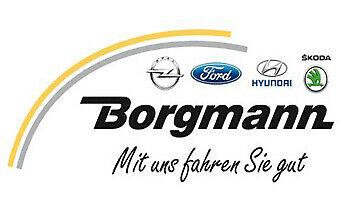 Borgmann GmbH Logo