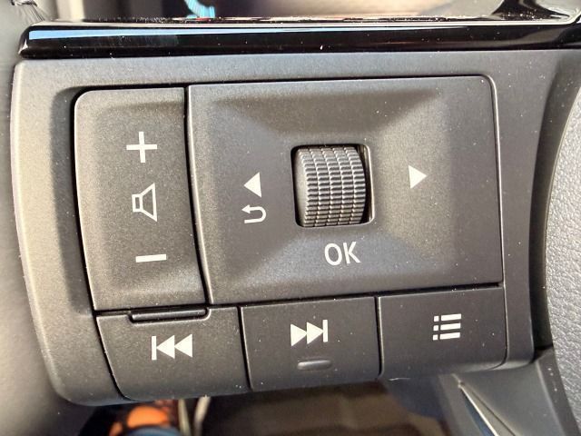 Fahrzeugabbildung Nissan X-Trail 1.5 VC-T e-4ORCE N-Trek ProPilot*ALU