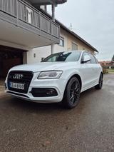 Audi SQ5 3.0 TDI comp. tiptr. quattro - - Audi SQ5 Gebrauchtwagen in München