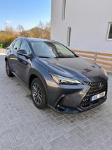 Lexus NX 350h 350h - - Lexus aus 2024: Nx