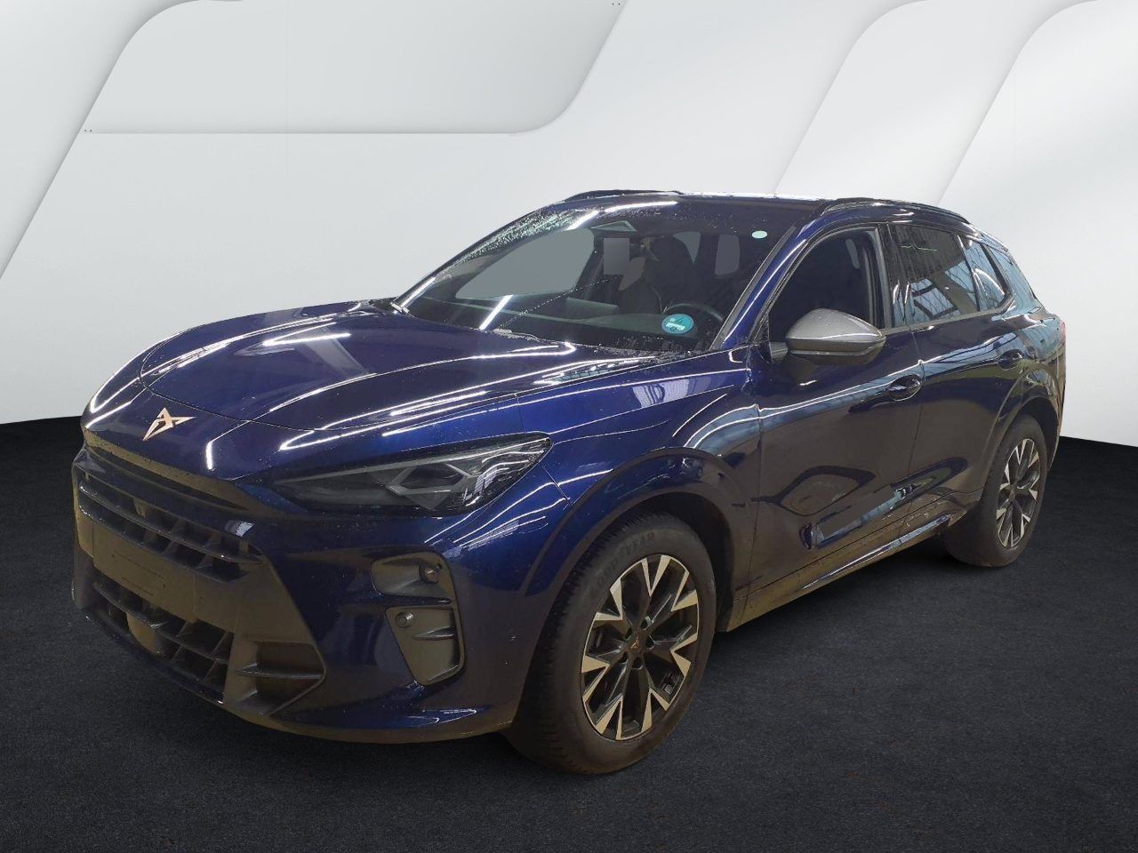 Cupra Terramar - Bild 2