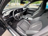 Cupra 